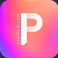 小P壁纸APP最新版 v1.0