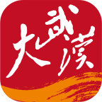 大武汉客户端6.5.0 最新版