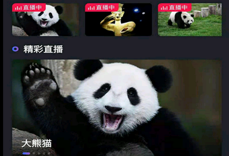 圆点5G