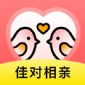 佳对视频相亲平台