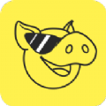 豪猪网app最新版v1.4