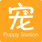 宠易站最新版