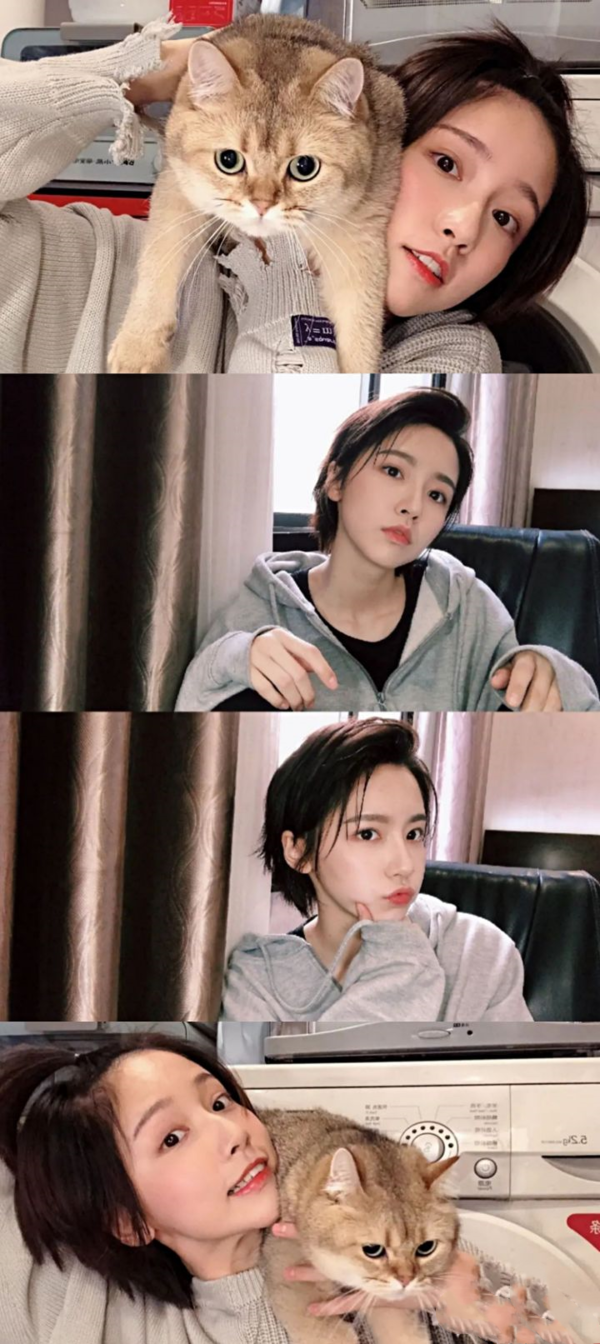 爱情公寓5诸葛大力图片