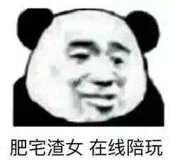 你不能一直给我新鲜感表情包