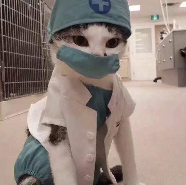 2020抖音口罩情侣头像