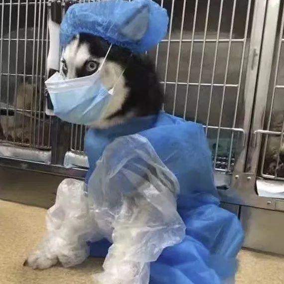 2020抖音口罩情侣头像