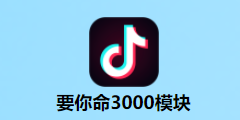 国外tiktok