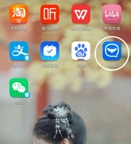 蝙蝠聊天app下载