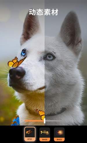 motionleap2022最新版