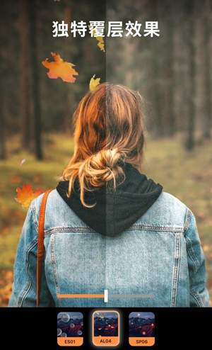 motionleap2022最新版