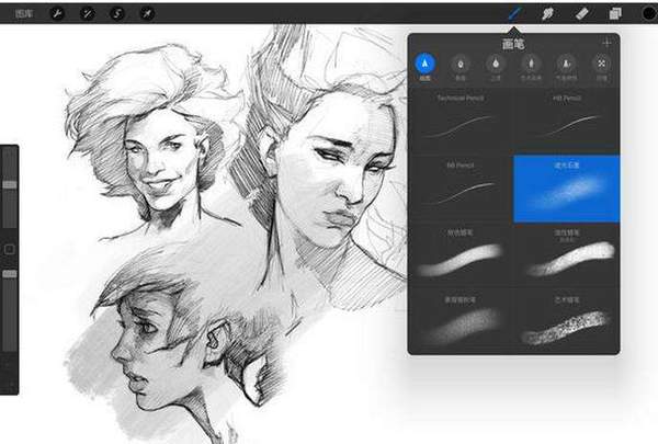 procreate正版免费