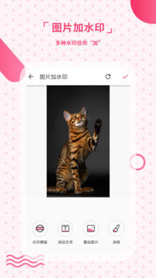 去水印相机下载安装-去水印相机免费版下载