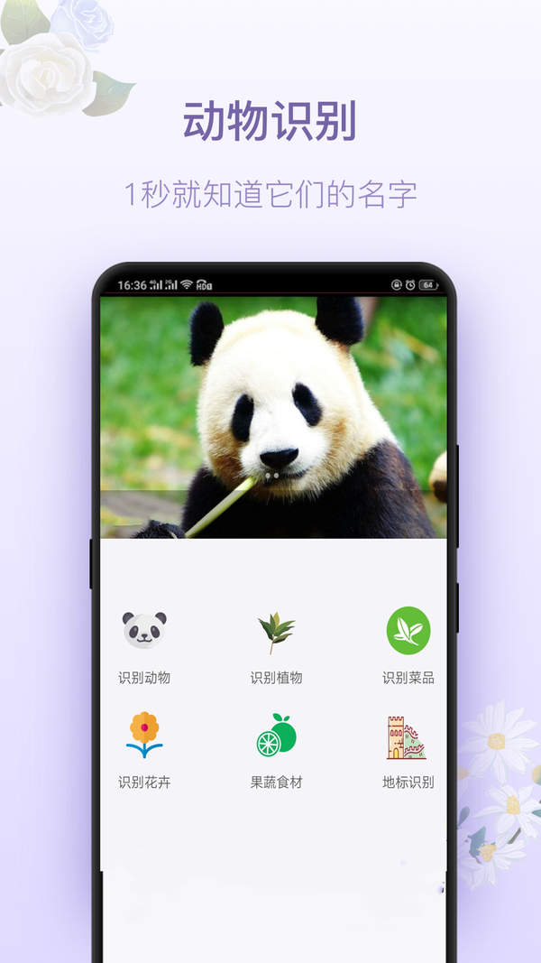 拍照识花app下载-拍照识花神器app下载
