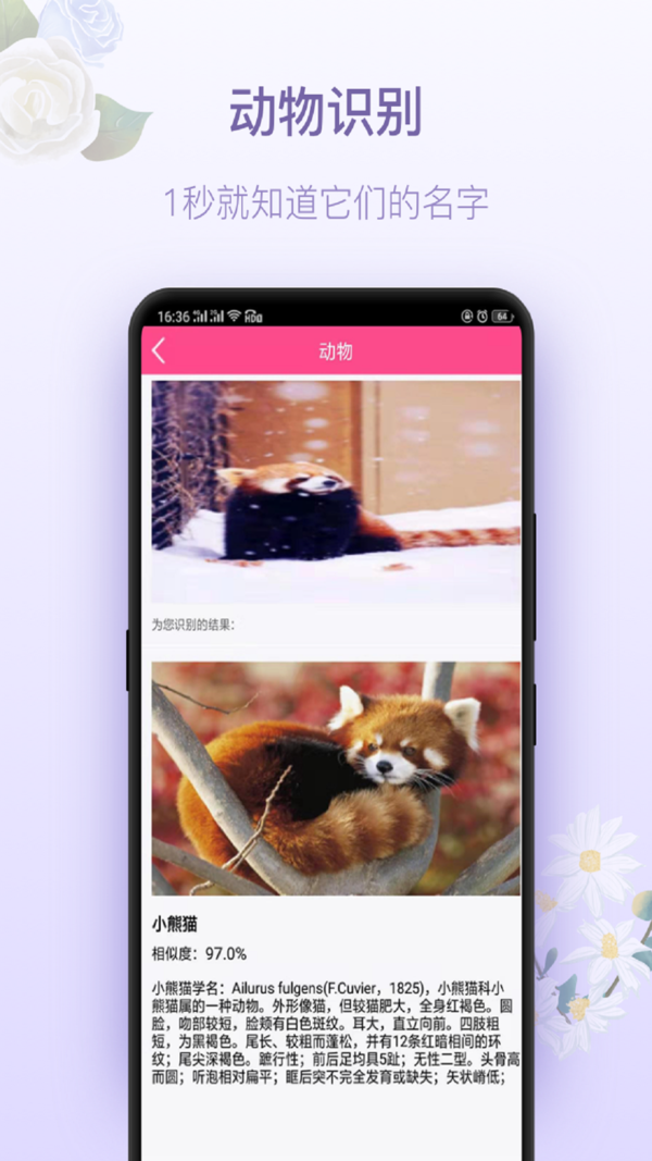 拍照识花app下载-拍照识花神器app下载
