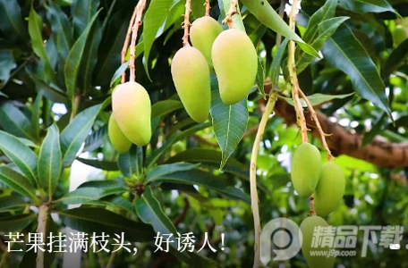 右江融媒体中心, 右江融媒体中心