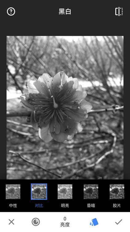 snapseed手机修图软件