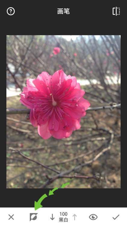 snapseed手机修图软件