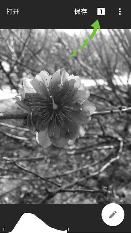 snapseed手机修图软件