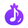 石榴音乐APP最新版v1.0.2