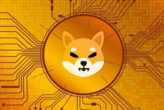 币币交易平台买什么币交易 好用的币币交易软件