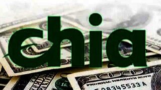 奇亚币下载 奇亚币官方APP