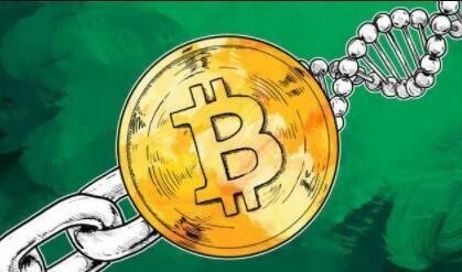 binance交易软件(v6.1.22)|binance交易平台电脑客户端-第7张图片-binance下载