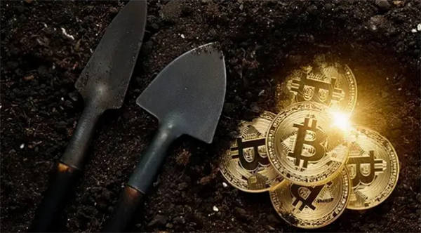 最近流行买什么币（币币交易排行汇总）-第1张图片-binance下载