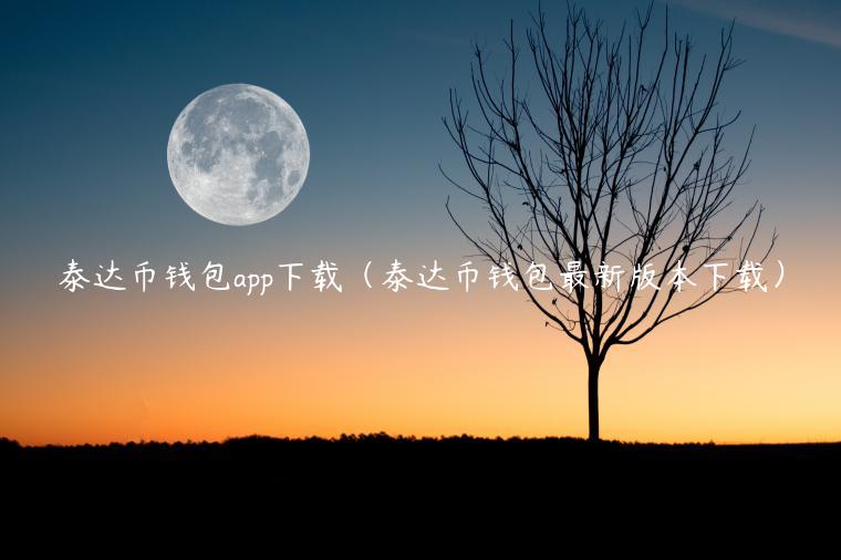 泰达币钱包app下载（泰达币钱包最新版本下载）-第1张图片-binance下载