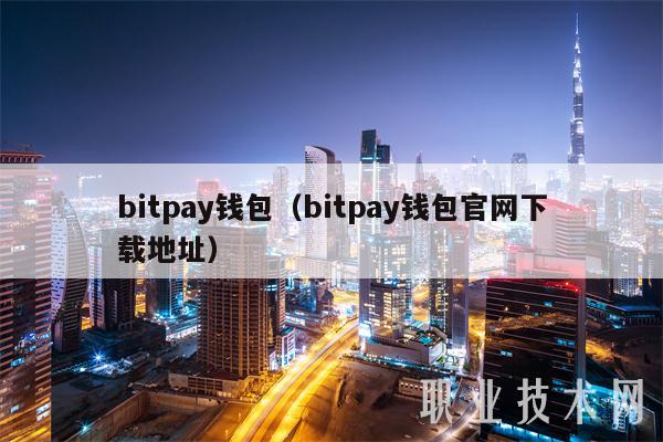 bitpay钱包（bitpay钱包官网下载地址）-第1张图片-binance下载