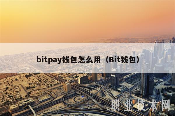 bitpay钱包怎么用(Bit钱包)-第1张图片-binance下载 bitpay钱包怎么用(Bit钱包)-第1张图片-binance下载