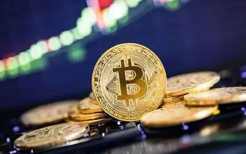 比特币平台软件有哪些|币圈十大虚拟货币交易平台-第4张图片-binance下载