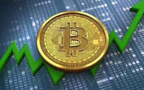 加密货币平台 买币什么交易平台-第1张图片-binance下载