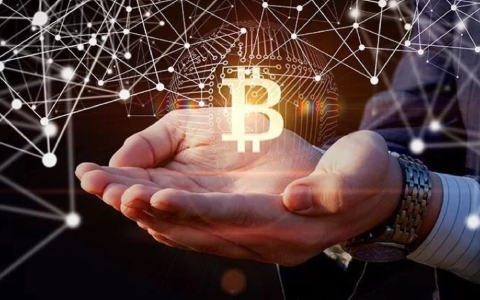 合法的比特币交易平台|正规的BTC平台-第4张图片-binance下载