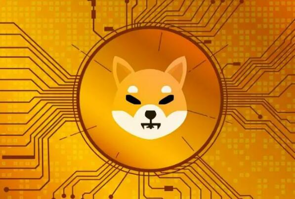 国外炒币用什么平台_虚拟货币交易平台app下载-第5张图片-binance下载