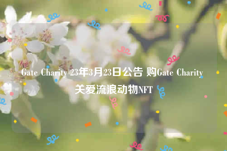 Gate Charity 23年3月23日公告 购Gate Charity 关爱流浪动物NFT-第1张图片-binance下载 Gate Charity 23年3月23日公告 购Gate Charity 关爱流浪动物NFT-第1张图片-binance下载