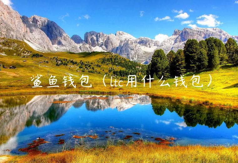 鲨鱼钱包（ltc用什么钱包）-第1张图片-欧意下载