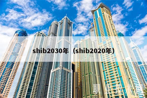 shib2030年（shib2020年-第1张图片-binance下载
