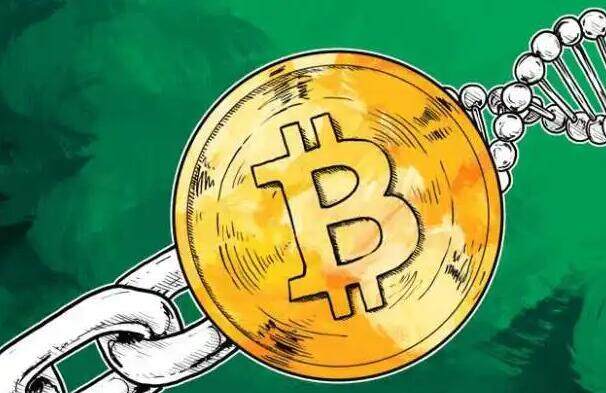 维卡币和维卡币有什么关系 维卡币交易平台v6.0.41app下载安卓-第1张图片-binance下载