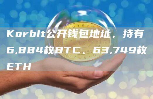 Korbit公开钱包地址，持有6,884枚BTC、63,749枚TH-第1张图片-binance下载