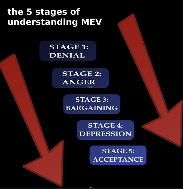 MBV研究进展以及研究方向-第6张图片-binance下载