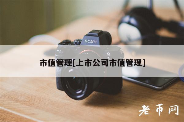 市值管理[上市公司市值管理]-第1张图片-binance下载