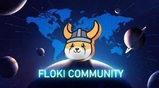 floki币会不会涨到1块？马斯克新宠floki币价格会超过狗狗币吗？
