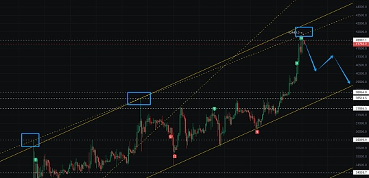 大盘回调期间, 大家可以重点埋伏哪些等待补涨的潜力币种？-第2张图片-欧意下载