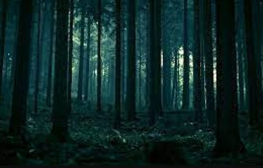 比特币中线剧情猜想：牛市周期确立 回调即为机会-第1张图片-欧意下载