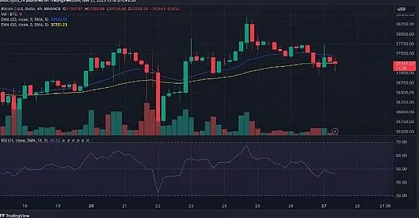 80%的BTC钱包都赚了，比特币真的进入新牛市了？-第6张图片-欧意下载