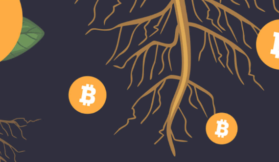 比特币生态铭文热度未必能持续-第1张图片-欧意下载 比特币生态铭文热度未必能持续-第1张图片-欧意下载