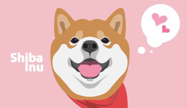 SHIB筹集了超过130万美元-第1张图片-欧意下载