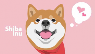 SHIB筹集了超过130万美元