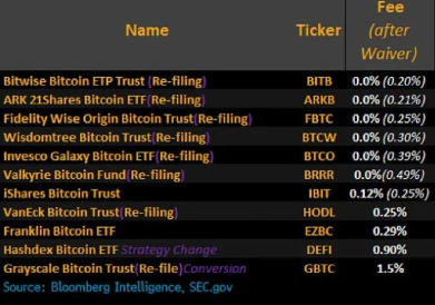 美SEC批准11只比特币现货ETF！-第3张图片-欧意下载