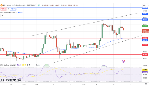 富爸爸穷爸爸作者说他在比特币ETF获批后购买了更多比特币-第2张图片-欧意下载